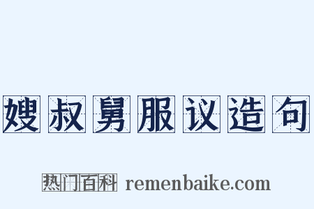 嫂叔舅服议造句是什么意思的图片